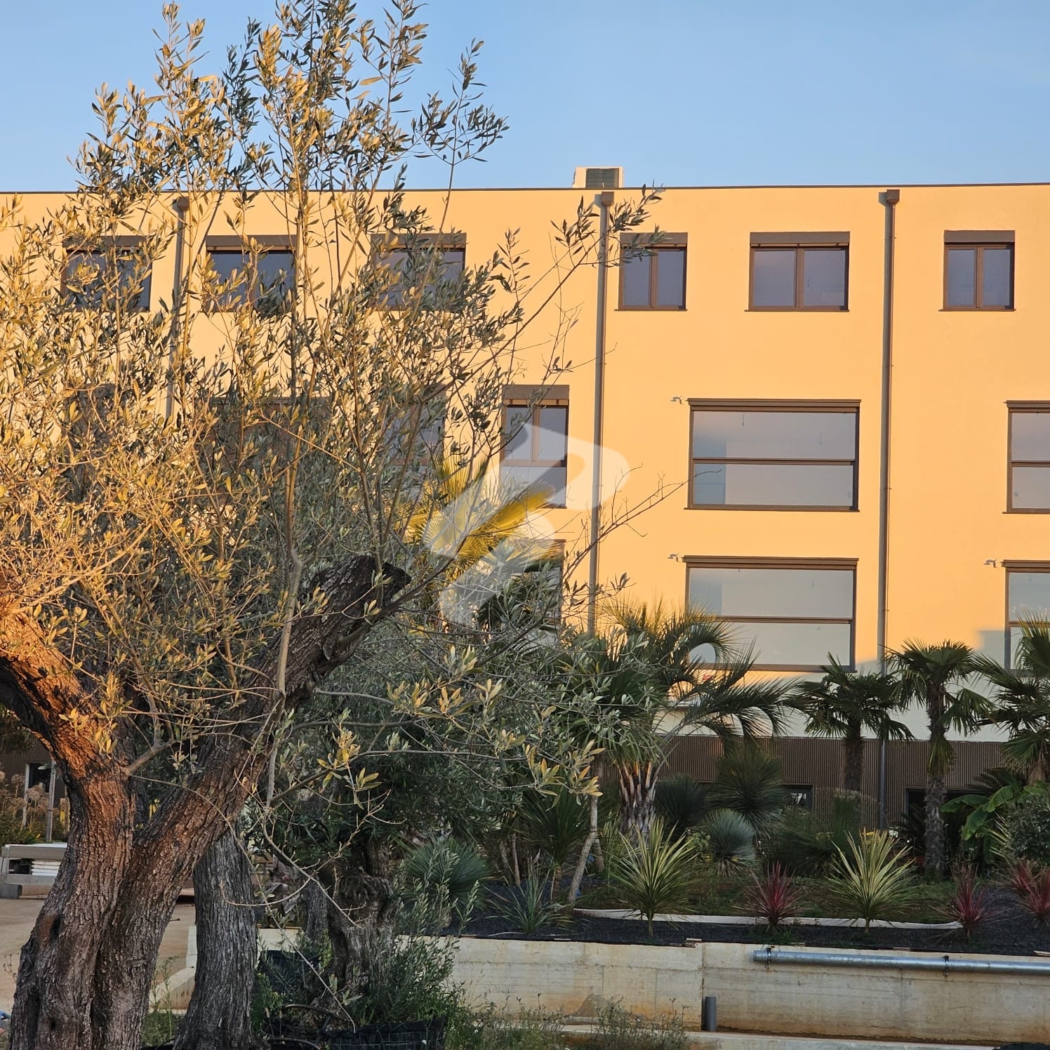 Poreč – Wohnung C103, Einzimmerwohnung mit Wohnzimmer, 47,20 m², erster Stock