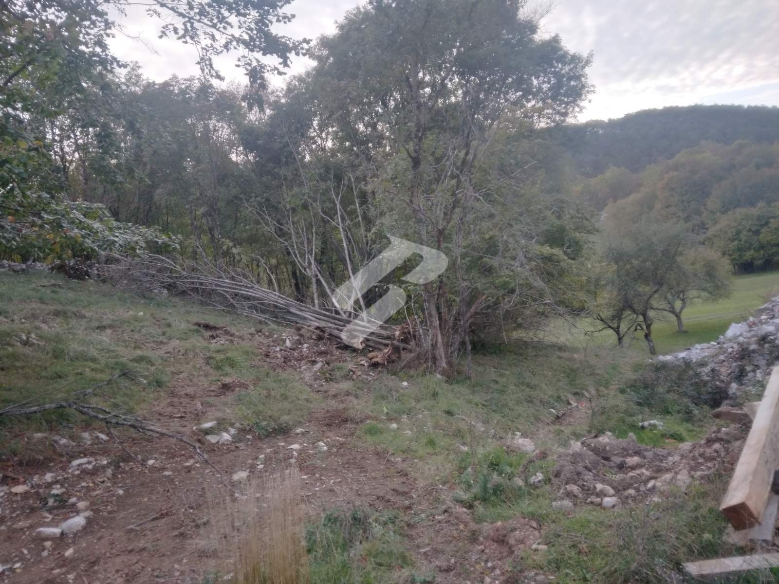 Klana - Terreno edificabile e agricolo con progetto per una vita perfetta nella natura